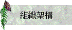 組織架構